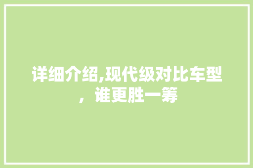 详细介绍,现代级对比车型，谁更胜一筹