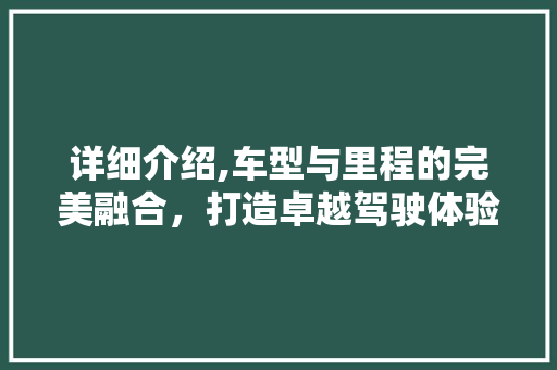 详细介绍,车型与里程的完美融合，打造卓越驾驶体验