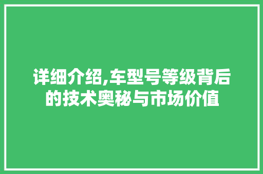 详细介绍,车型号等级背后的技术奥秘与市场价值 底盘配件