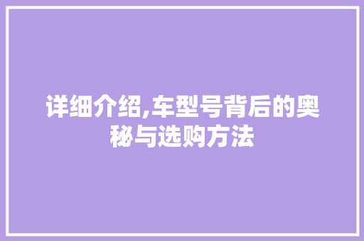详细介绍,车型号背后的奥秘与选购方法
