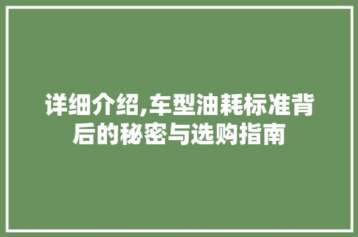 详细介绍,车型油耗标准背后的秘密与选购指南