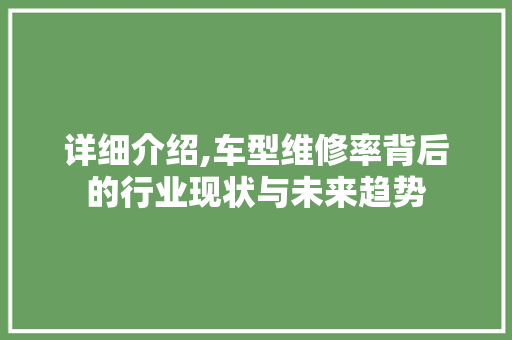 详细介绍,车型维修率背后的行业现状与未来趋势