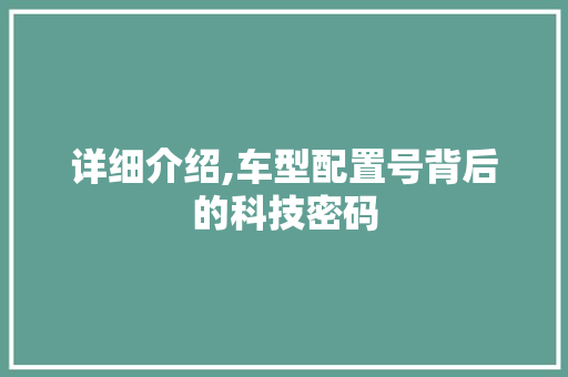 详细介绍,车型配置号背后的科技密码