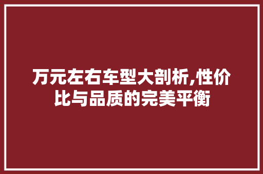 万元左右车型大剖析,性价比与品质的完美平衡