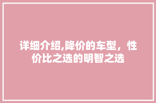 详细介绍,降价的车型，性价比之选的明智之选