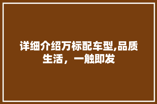 详细介绍万标配车型,品质生活，一触即发