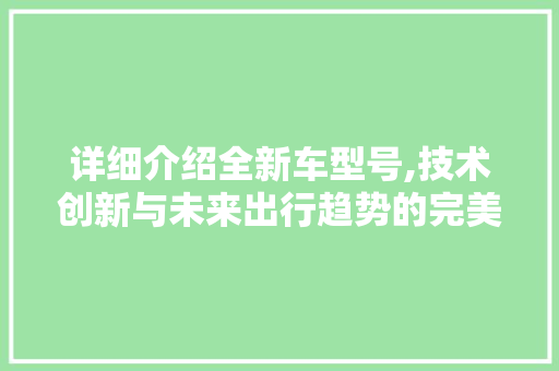详细介绍全新车型号,技术创新与未来出行趋势的完美融合