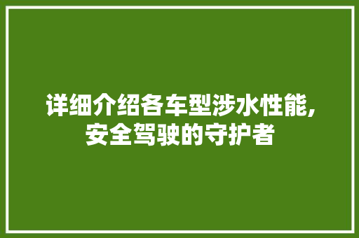 详细介绍各车型涉水性能,安全驾驶的守护者