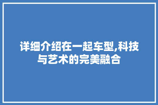 详细介绍在一起车型,科技与艺术的完美融合