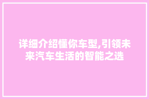 详细介绍懂你车型,引领未来汽车生活的智能之选