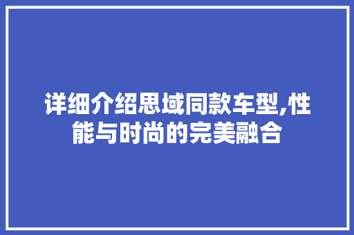 详细介绍思域同款车型,性能与时尚的完美融合 新能源汽车