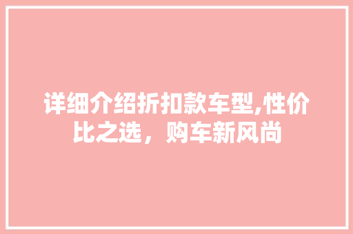 详细介绍折扣款车型,性价比之选，购车新风尚