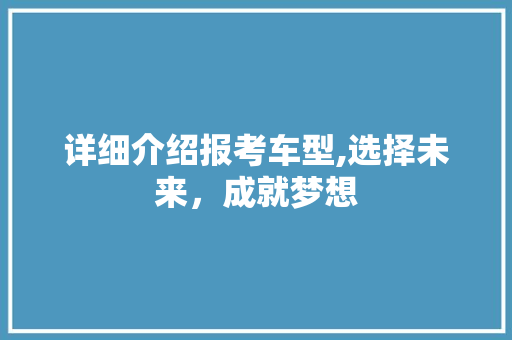 详细介绍报考车型,选择未来，成就梦想