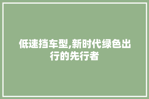 低速挡车型,新时代绿色出行的先行者
