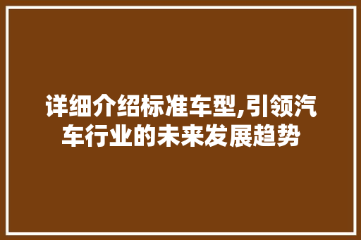 详细介绍标准车型,引领汽车行业的未来发展趋势