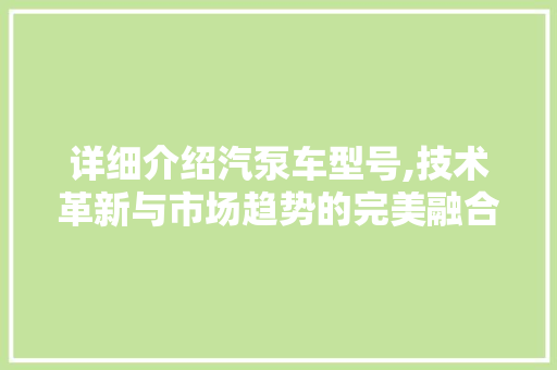 详细介绍汽泵车型号,技术革新与市场趋势的完美融合