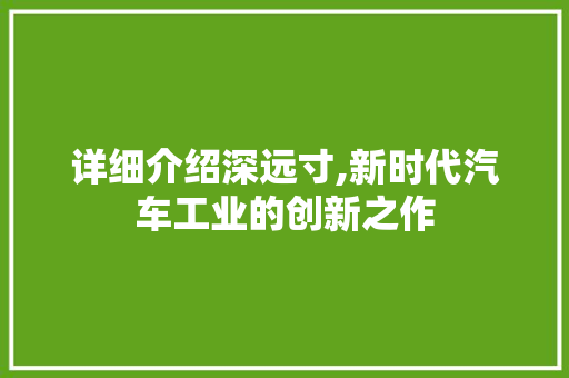 详细介绍深远寸,新时代汽车工业的创新之作