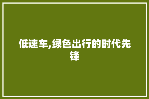 低速车,绿色出行的时代先锋