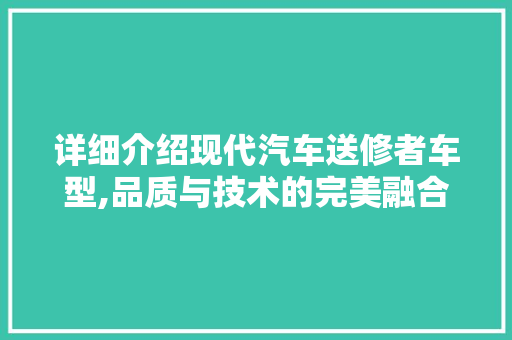 详细介绍现代汽车送修者车型,品质与技术的完美融合