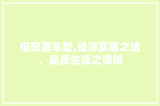 低配置车型,经济实惠之选，品质生活之保障