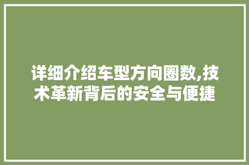 详细介绍车型方向圈数,技术革新背后的安全与便捷