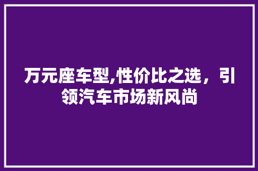 万元座车型,性价比之选，引领汽车市场新风尚