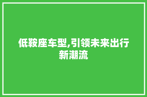 低鞍座车型,引领未来出行新潮流