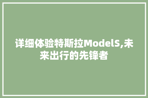 详细体验特斯拉ModelS,未来出行的先锋者