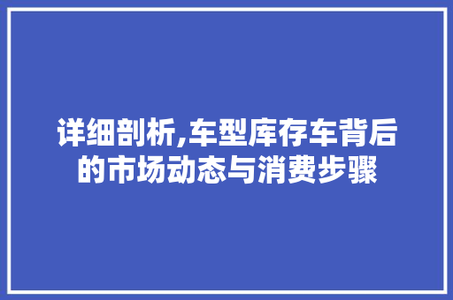 详细剖析,车型库存车背后的市场动态与消费步骤