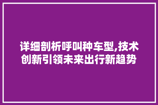详细剖析呼叫种车型,技术创新引领未来出行新趋势