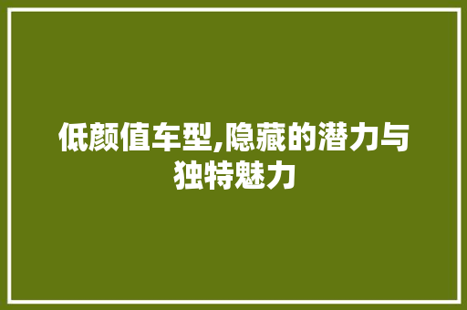 低颜值车型,隐藏的潜力与独特魅力