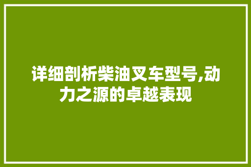 详细剖析柴油叉车型号,动力之源的卓越表现