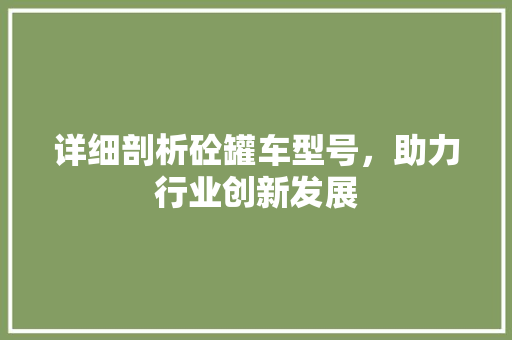 详细剖析砼罐车型号，助力行业创新发展 蓄电池配件