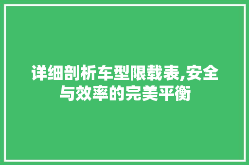 详细剖析车型限载表,安全与效率的完美平衡