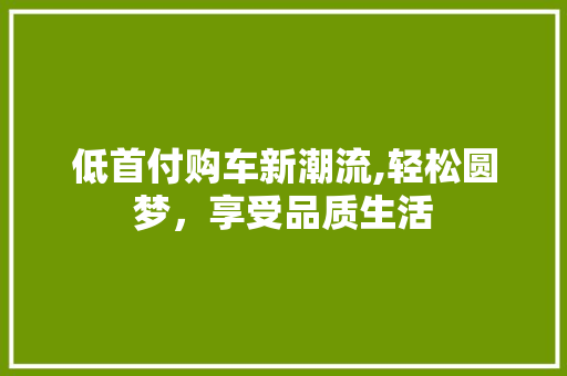 低首付购车新潮流,轻松圆梦，享受品质生活