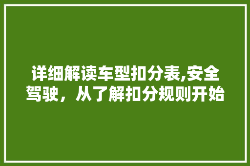 详细解读车型扣分表,安全驾驶，从了解扣分规则开始