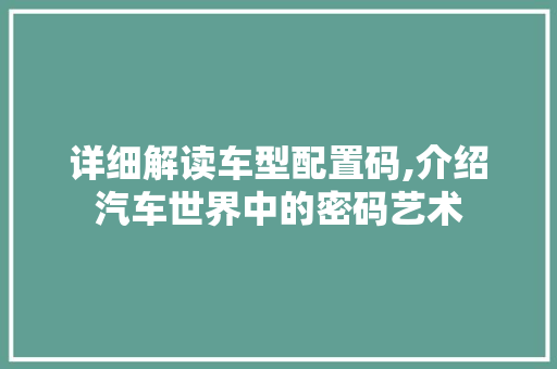 详细解读车型配置码,介绍汽车世界中的密码艺术