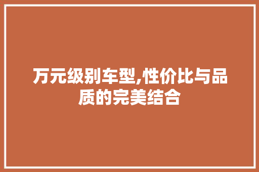 万元级别车型,性价比与品质的完美结合