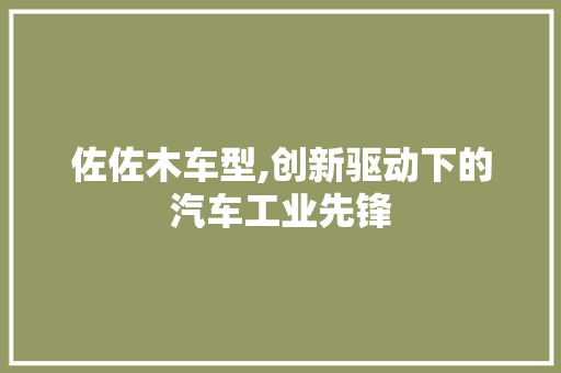 佐佐木车型,创新驱动下的汽车工业先锋