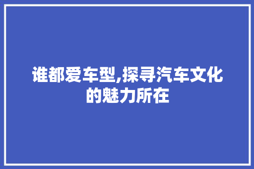 谁都爱车型,探寻汽车文化的魅力所在