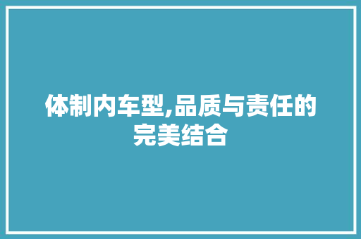 体制内车型,品质与责任的完美结合