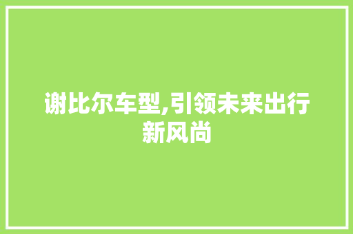 谢比尔车型,引领未来出行新风尚