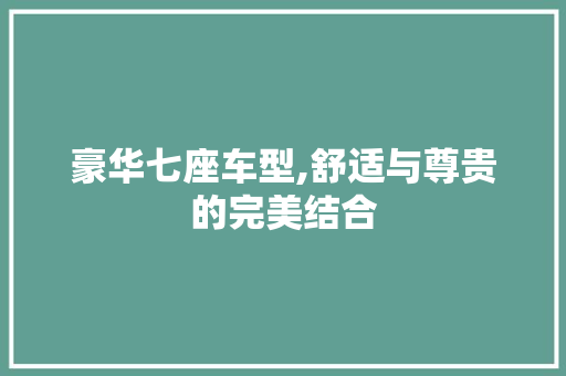 豪华七座车型,舒适与尊贵的完美结合