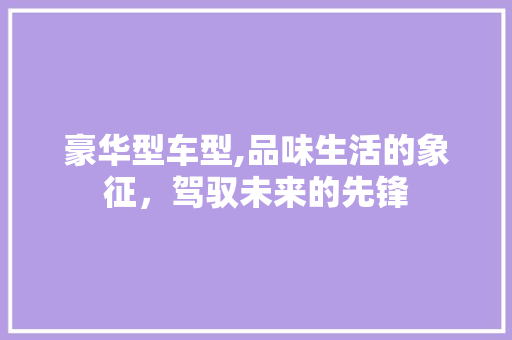豪华型车型,品味生活的象征，驾驭未来的先锋