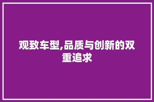 观致车型,品质与创新的双重追求