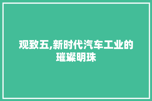 观致五,新时代汽车工业的璀璨明珠