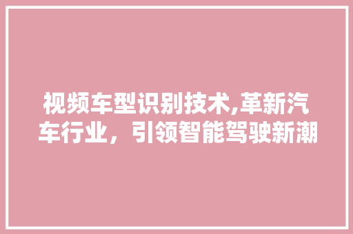 视频车型识别技术,革新汽车行业，引领智能驾驶新潮流