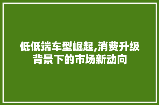 低低端车型崛起,消费升级背景下的市场新动向