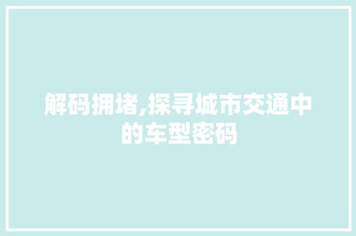 解码拥堵,探寻城市交通中的车型密码