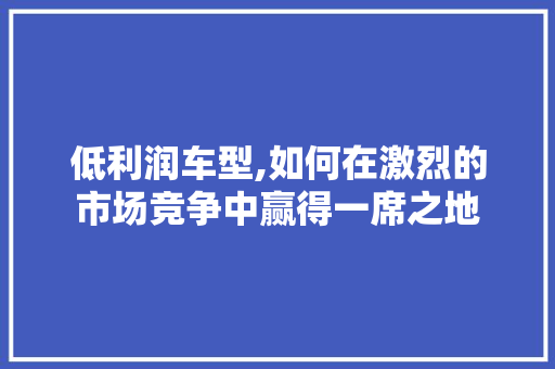 低利润车型,如何在激烈的市场竞争中赢得一席之地